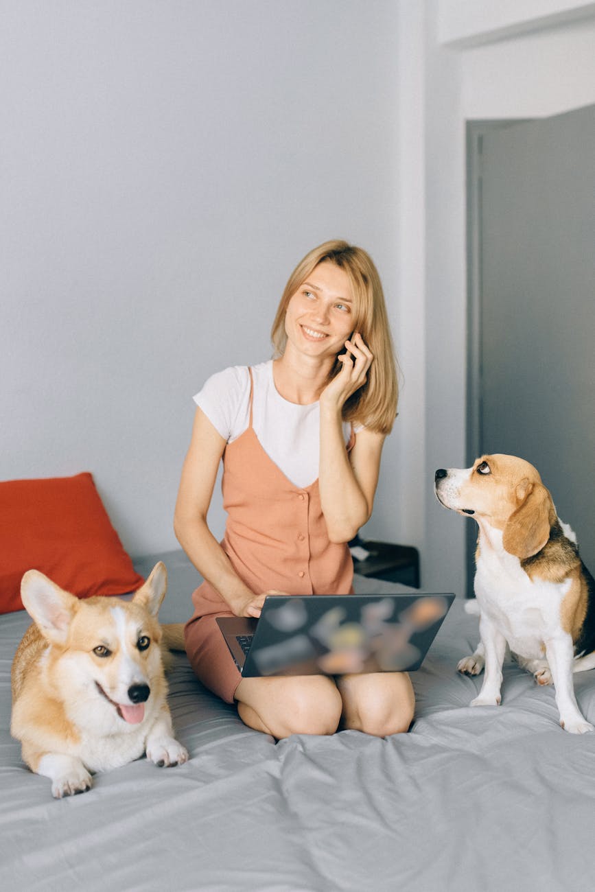 Smiling woman working on laptop with dogs at home, enjoying remote work on bed.