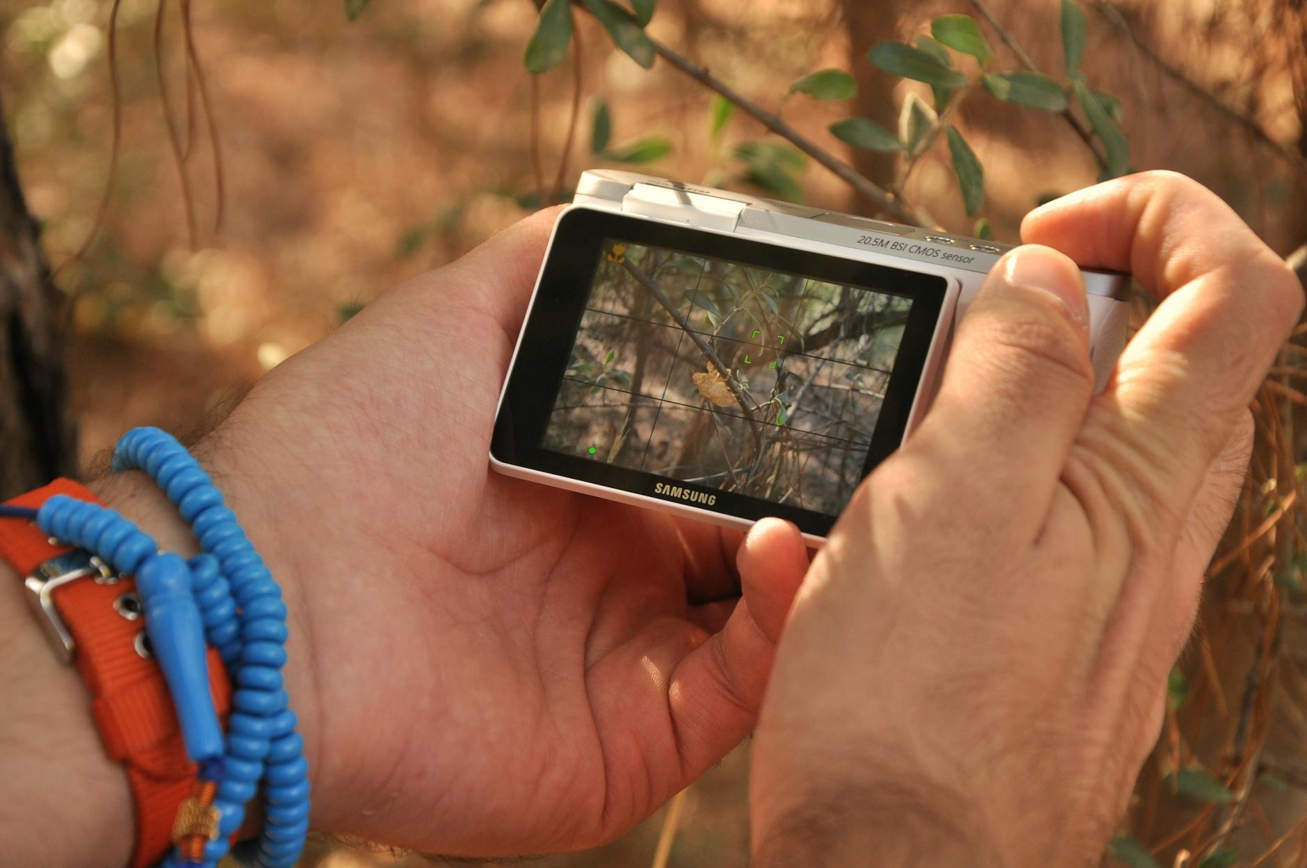 Person capturing nature photography with a digital camera in the forest.