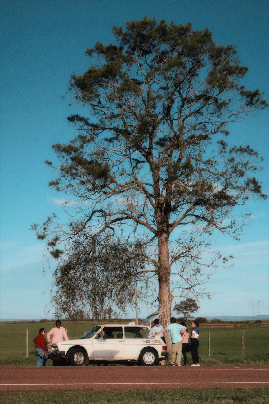Free stock photo of 2025 wallpaper, 4k, uruguay