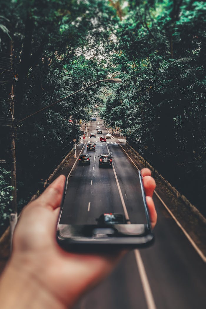 Creative blend of technology and nature with smartphone framing a bustling road through forest.