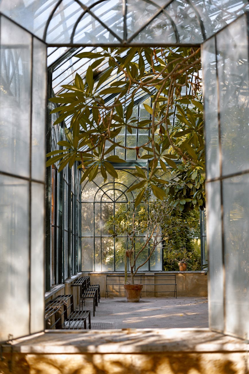 Peaceful greenhouse space with lush plants and natural light streaming through glass windows.